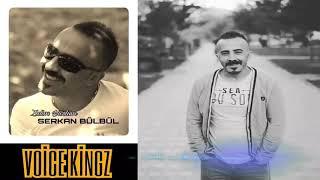 Zalim Firari - VoiceKingz (Serkan Bülbül)