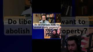 Do Libertarians Want to Abolish All Government Services? #libertarian #rothbard #davesmith