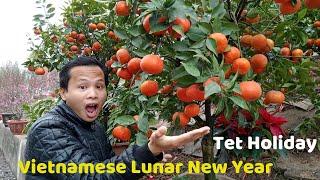 How Vietnamese Prepare For Lunar New Year (Tet Holiday)?