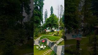 Beautiful Resort/ Hotel   In Nathiagali ️