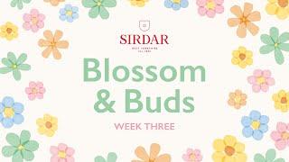 Sirdar Blossom & Buds Crochet Along: Week 3 - Rows Of Tulips