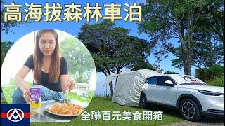 高海拔森林系露營｜車泊｜全聯百元美食開箱｜ 車宿｜tinaletsgo ｜HRV｜百萬夜景｜天湖露營區｜馬可波羅露營車