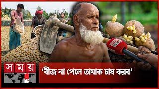 Shortage of seed potatoes, the syndicate is cutting farmers' pockets Potato Price | Syndicate | Seed Potatoes | Somoy TV