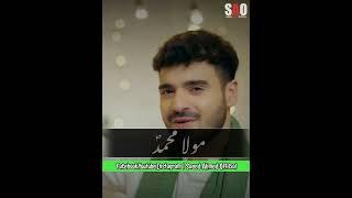 Maula Muhammad | Nadeem Sarwar, Ali Shanawar & Ali Jee | Naat Status | Saeed Ahmed Official