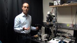 Microscopy: How To Focus (Ron Vale)