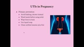 UTI in Pregnancy - CRASH! Medical Review Series