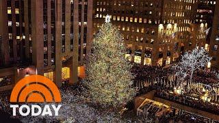 Meet the 2021 Rockefeller Center Christmas Tree