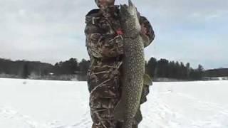 Huge Giant Monster Pike Ice Fishing Video