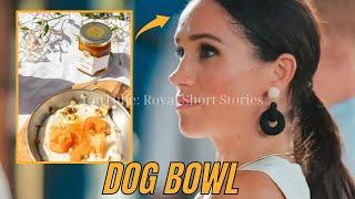 Even My Dog Eats Better! Meghan Markle MOCKED for Serving Apricot Spread in Dog Bowl