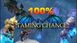 How To Get Over 100% Taming Chance - Riders of Icarus