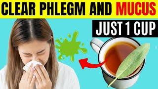 GET RID of Mucus & Phlegm in MINUTES with These 9 Proven Methods!