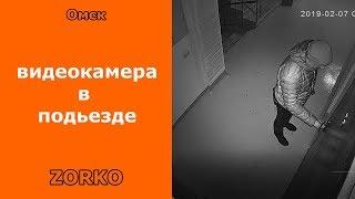 Камеру видеонаблюдения установили в подъезде в Омске системы видеонаблюдения ZORKO