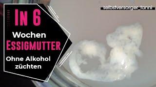 DIY Essigmutter züchten | Essigmutter herstellen |Essig herstellen | Essig selber machen | Essig