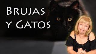 Las Brujas y los Gatos | El Rincón de las Brujas de Iris