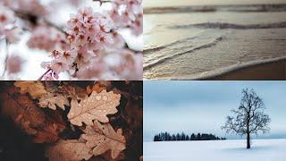 4 seasons in one hour - Relaxing Video with Music and Nature