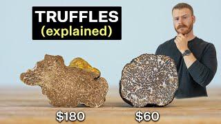 Why are Truffles so expensive? Are they worth it?