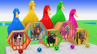 Long Slide Game With Elephant Gorilla Buffalo Hippopotamus Tiger 3d Animal Game Funny 3d Animals