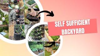 New:Self sufficient backyard 🪴Self sufficient backyard book review🪴