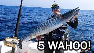 Our BEST Wahoo Trip Yet! High Speed Trolling and Medium Speed Trolling!