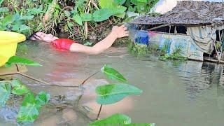 Mò hang bắt cá cạnh nhà hoang bất ngờ trúng lớn phút cuối T304 | Fishing next to an abandoned house