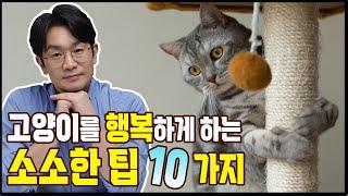 고양이를 행복하게 해주는 작은 팁들 10가지