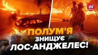 ️ВСЕ У ВОГНІ! Лос-Анджелес охопила ПЕКЕЛЬНА пожежа. ЗАГРОЗА ЕЛІТНИМ районам, ТИСЯЧІ людей рятуються