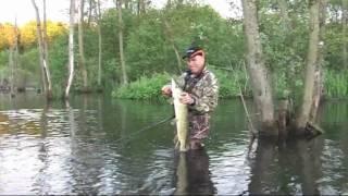 Savage Gear Amazon Fishing