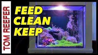 Reef Tank (ALL ABOUT FEEDING, CLEANING AND HUSBANDRY)