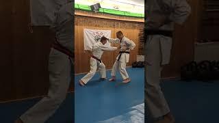 YAKUSOKU KUMITE - KAKUTO UKE