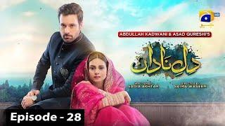 Dil-e-Nadan Episode 28 - Mikaal Zulfiqar - Amar Khan - 12th November 2024 - Review