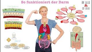 Hilfe bei Leaky Gut️Gesunder Darm & Microbiom ! Darmflora aufbauen - schlechte Bakterien aushungern