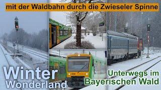 Zwieseler Spinne Bayerischer Wald | Unterwegs im Winterlichen Waldbahn Netz