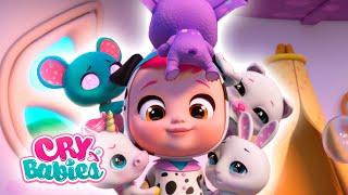 Ep 16 | Dotty, the pets aren't feeling well | Cry Babies Magic Tears New Episode |Cartoons for Kids