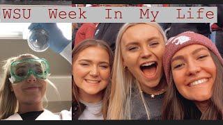 College Week in My Life at Washington State University