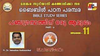 വചനവർഷം 2024-25 | Epi - 11 | Introduction to Torah | Fr. Dr. Sebastian Kuttianickal