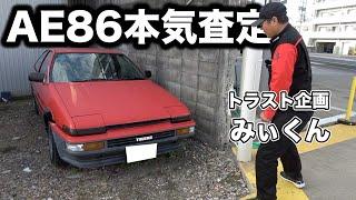 Is the AE86 actually popular? I asked a professional at Trust Planning and got a shocking answer...