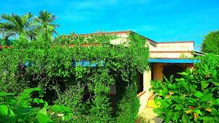 Strange Vines Wrap Around Abandoned House Like A Curse