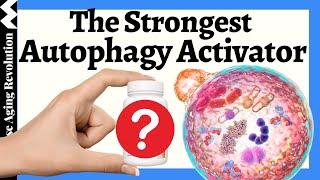 The STRONGEST Autophagy Activator