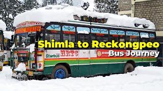 HRTC Bus Journey in DANGEROUS SNOWY Roads | Shimla to Reckongpeo ज़हरीली पहाड़न #hrtc #kinnaur