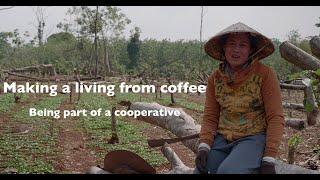 Making a living from coffee: Being part of a cooperative