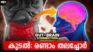 കുടലും തലച്ചോറും Gut-Brain Connection: How Your Diet Influences Your Mental Health