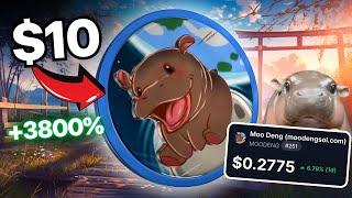  BUY 10,000 MOODENG *BEFORE IT'S TOO LATE!!!* (Price Prediction + Analysis) #moodeng