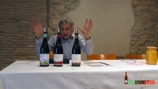 Ortovins - Joan Asense - DO Montsant