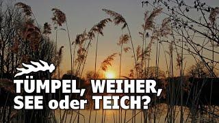 Tümpel, Weiher, See oder Teich? Gewässer richtig einordnen