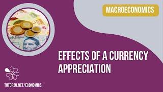 Effects of a Currency Appreciation - A Level and IB Economics