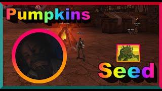 Lineage II  Evento no brabosclub // Pumpkins Seed ️