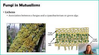 Introduction to Fungi