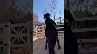 ️️#doris #horsegirl #horseriding