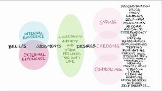 Anatomy of a Compulsion