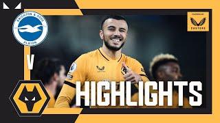 STUNNING Neves pass sets up Saiss! Brighton & Hove Albion 0-1 Wolves | Highlights